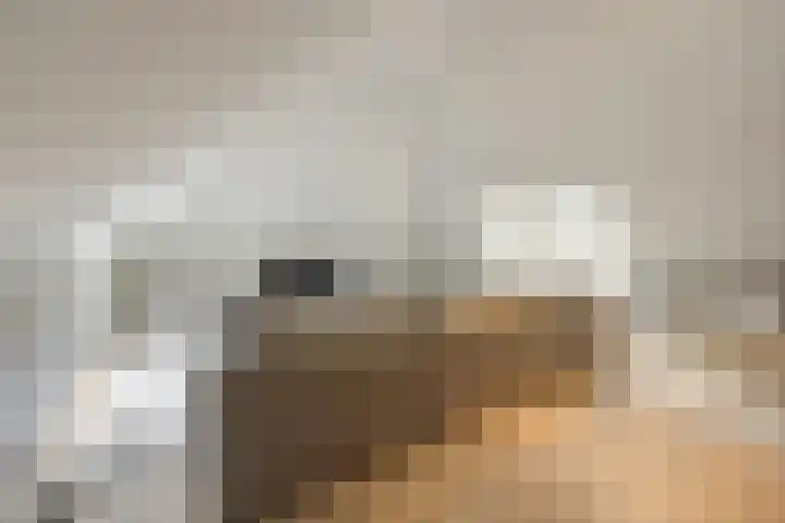 Schuilenburg 4 Etten-Leur thumbnail 53