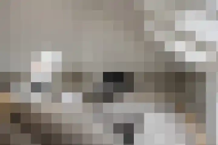 Schuilenburg 4 Etten-Leur thumbnail 54