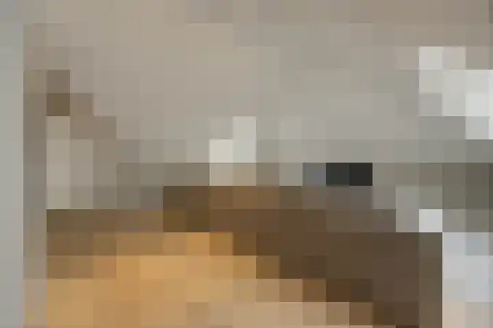 Schuilenburg 4 Etten-Leur thumbnail 55