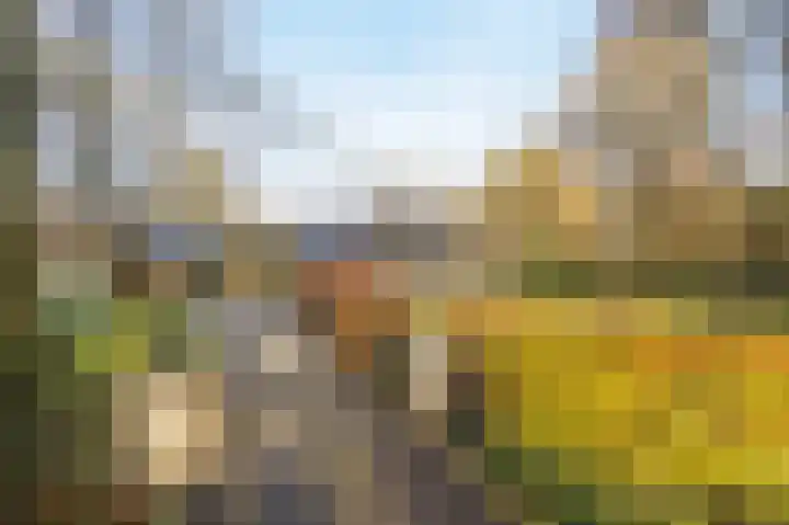 Schuilenburg 4 Etten-Leur thumbnail 6