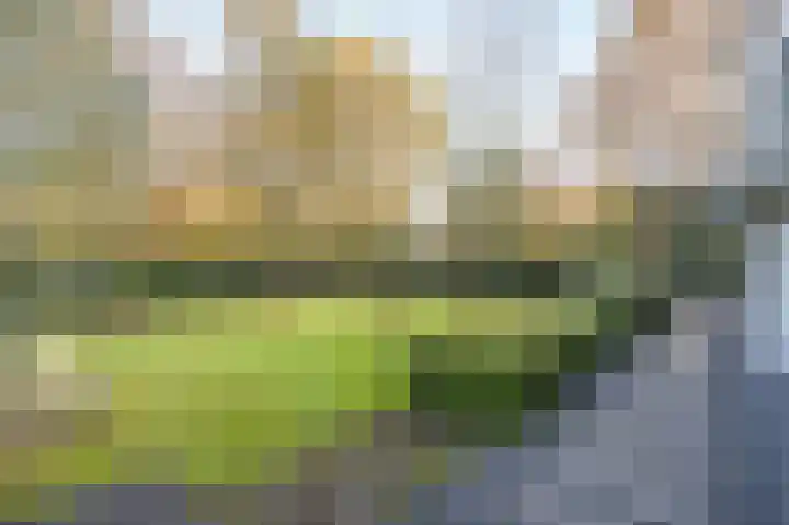 Schuilenburg 4 Etten-Leur thumbnail 61