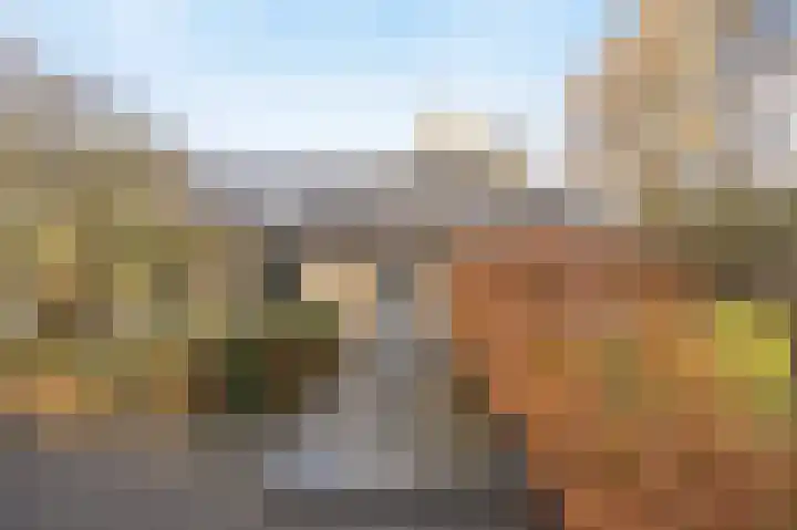 Schuilenburg 4 Etten-Leur thumbnail 7