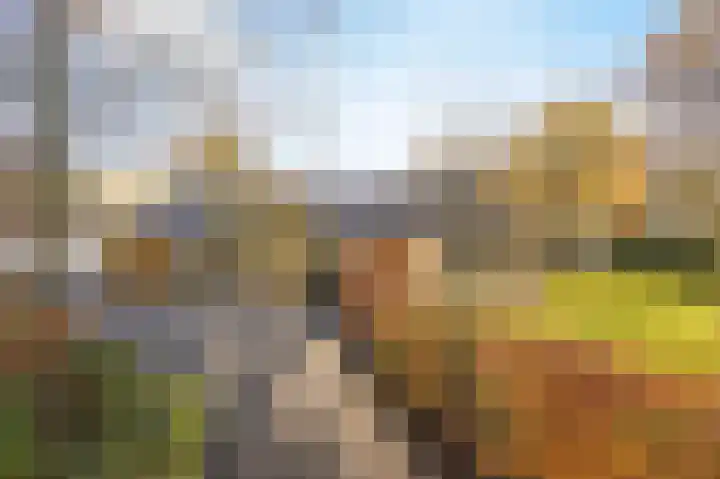 Schuilenburg 4 Etten-Leur thumbnail 75