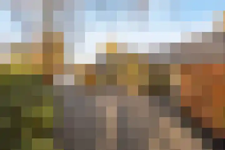 Schuilenburg 4 Etten-Leur thumbnail 77