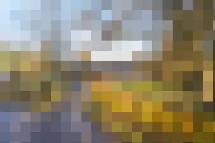 Schuilenburg 4 Etten-Leur thumbnail 80