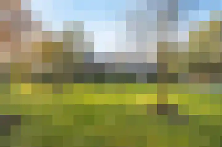 Schuilenburg 4 Etten-Leur thumbnail 81
