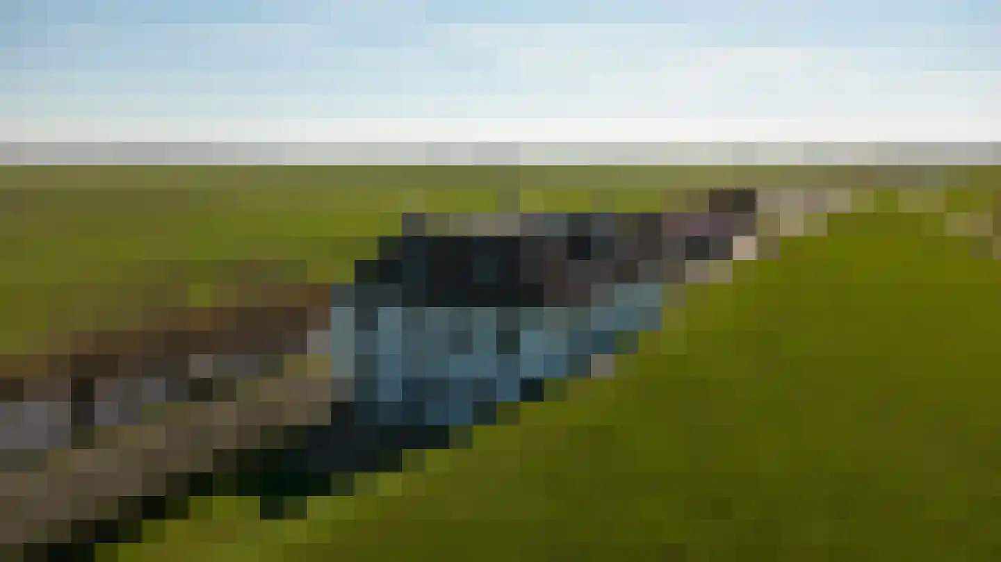 Schuilenburg 4 Hindeloopen thumbnail 47