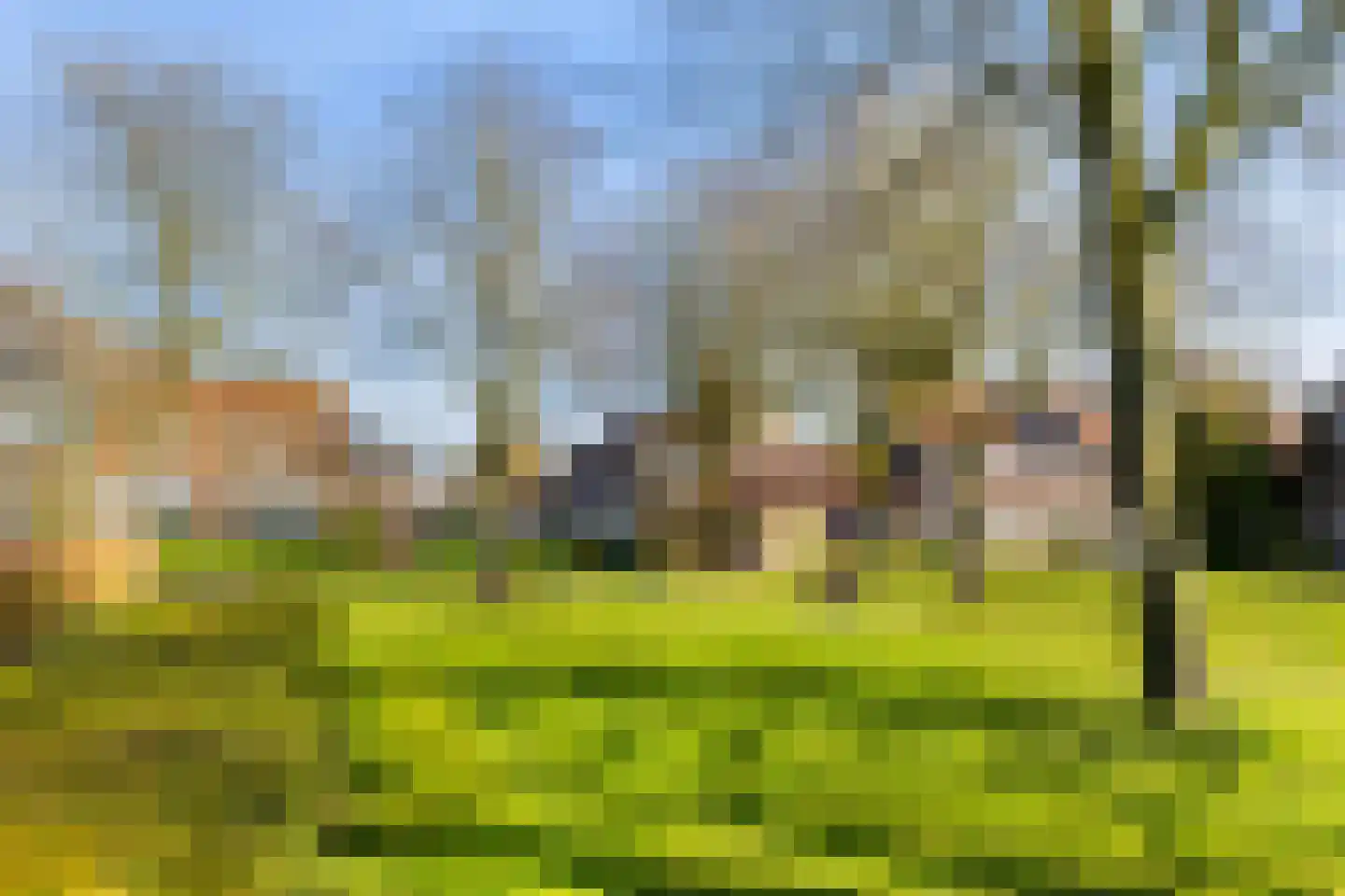Schuilenburg 65 Leeuwarden thumbnail 13