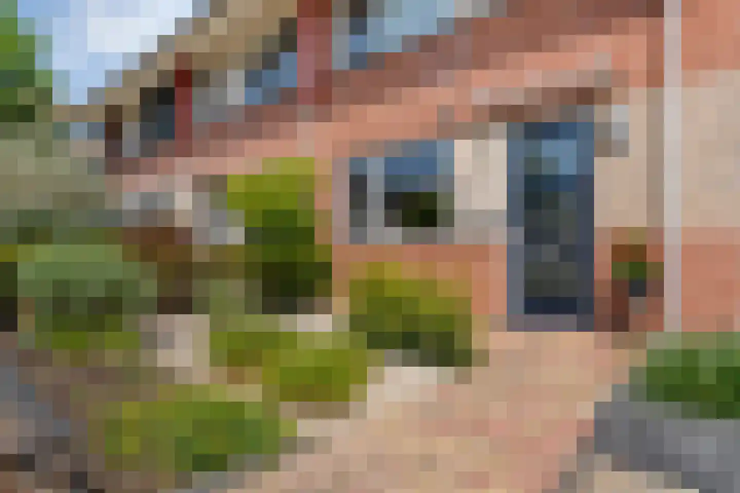 Schuilenburg 80 Raalte thumbnail 10
