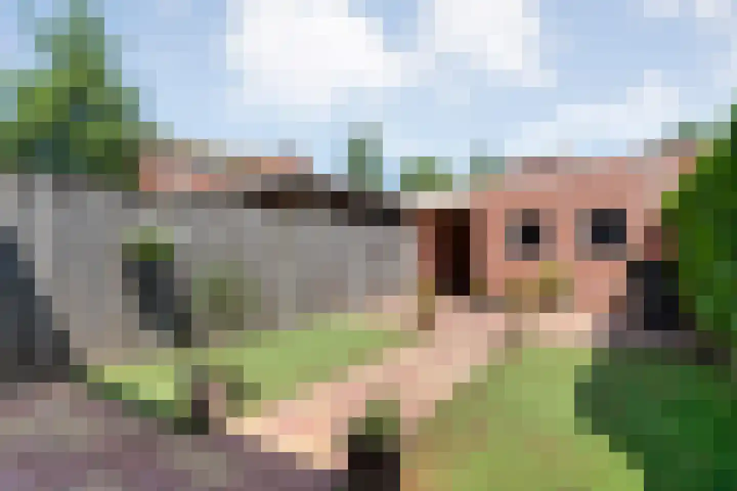 Schuilenburg 80 Raalte thumbnail 38
