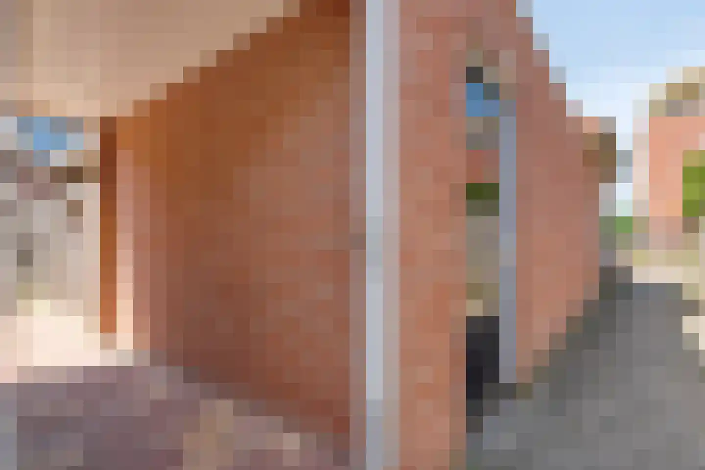 Schuilenburg 80 Raalte thumbnail 41
