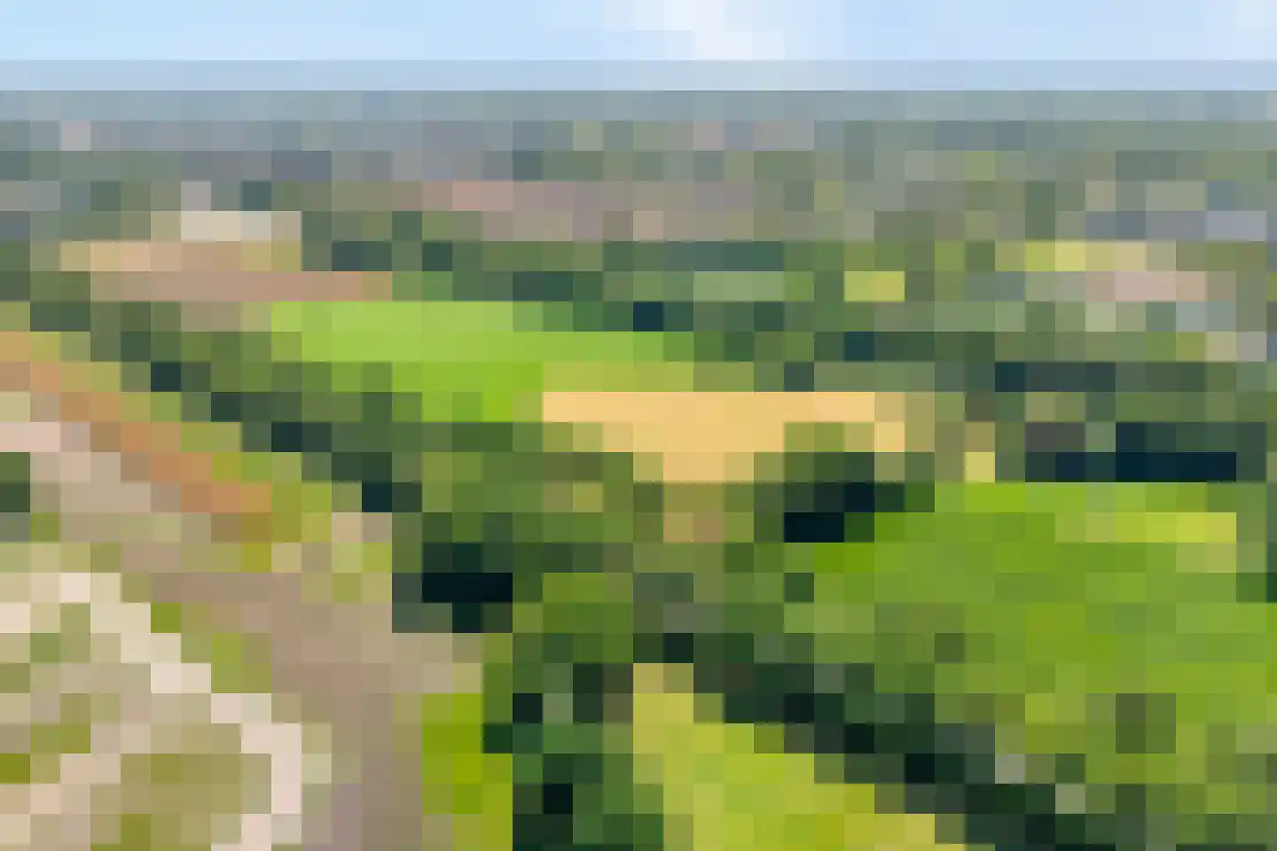 Schuilenburg 80 Raalte thumbnail 7