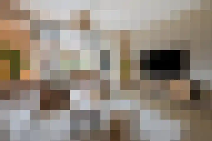 Schuilenburg 98 Raalte thumbnail 10