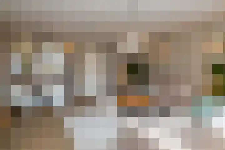 Schuilenburg 98 Raalte thumbnail 11