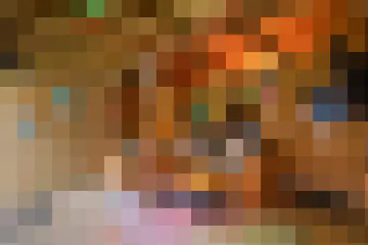 Schuilenburg 98 Raalte thumbnail 31