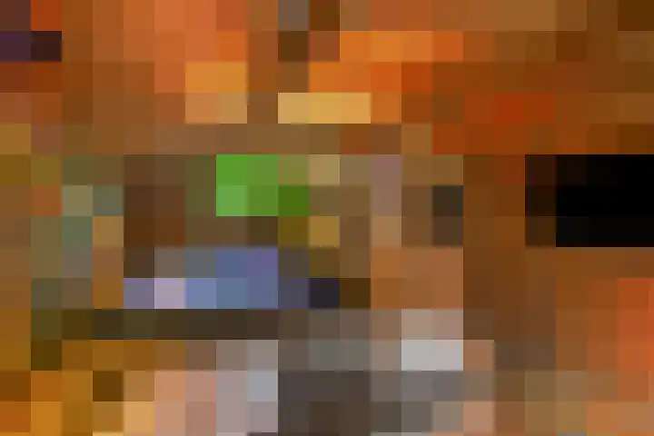 Schuilenburg 98 Raalte thumbnail 32