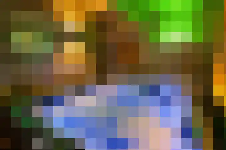 Schuilenburg 98 Raalte thumbnail 33