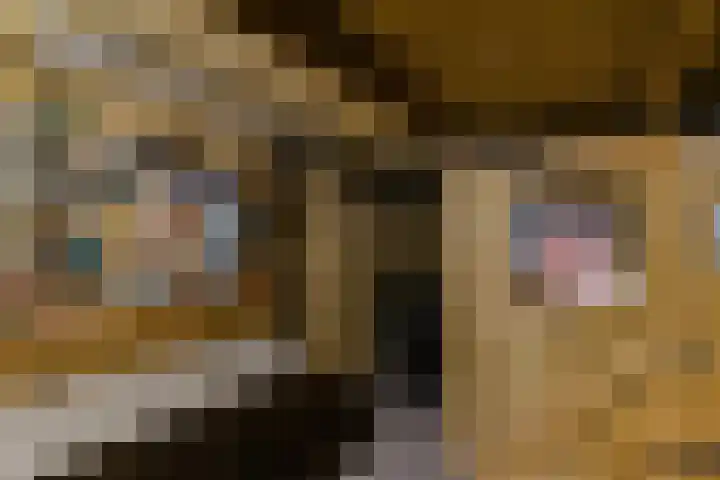 Schuilenburg 98 Raalte thumbnail 37