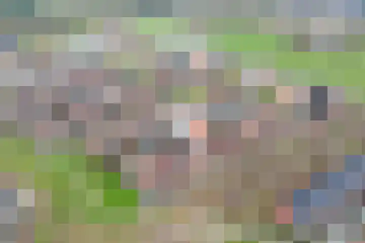 Schuilenburg 98 Raalte thumbnail 39