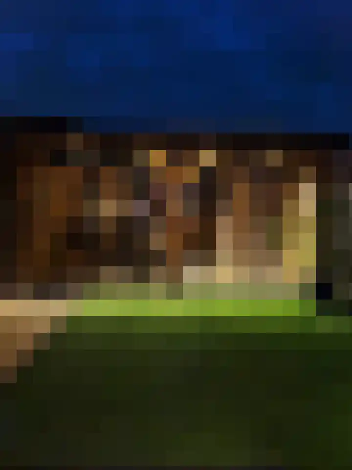 Schuilenburg 98 Raalte thumbnail 4