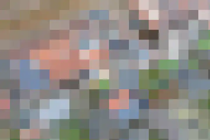 Schuilenburg 98 Raalte thumbnail 40