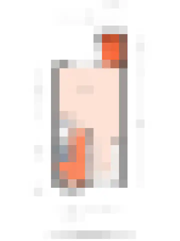 Schuilenburg 98 Raalte thumbnail 41