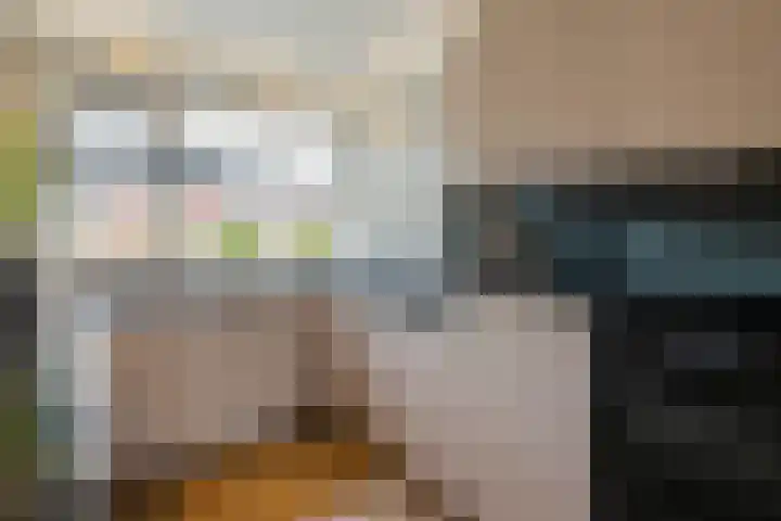 Schuilenburg 98 Raalte thumbnail 5