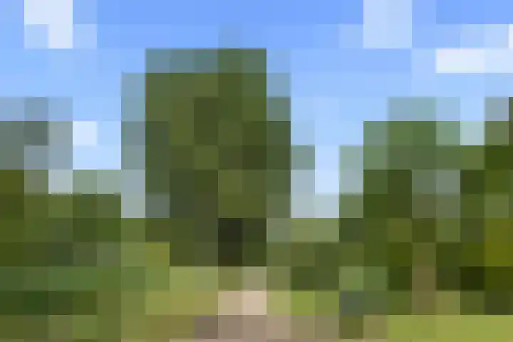 Schuilenburgerweg 26 Amersfoort thumbnail 63