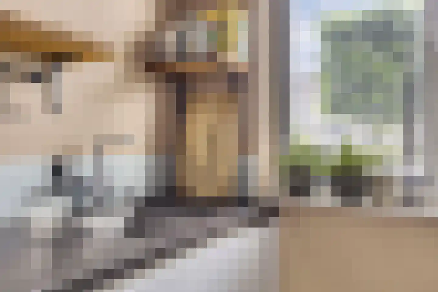 Schuilenburglaan 12 Lienden thumbnail 14