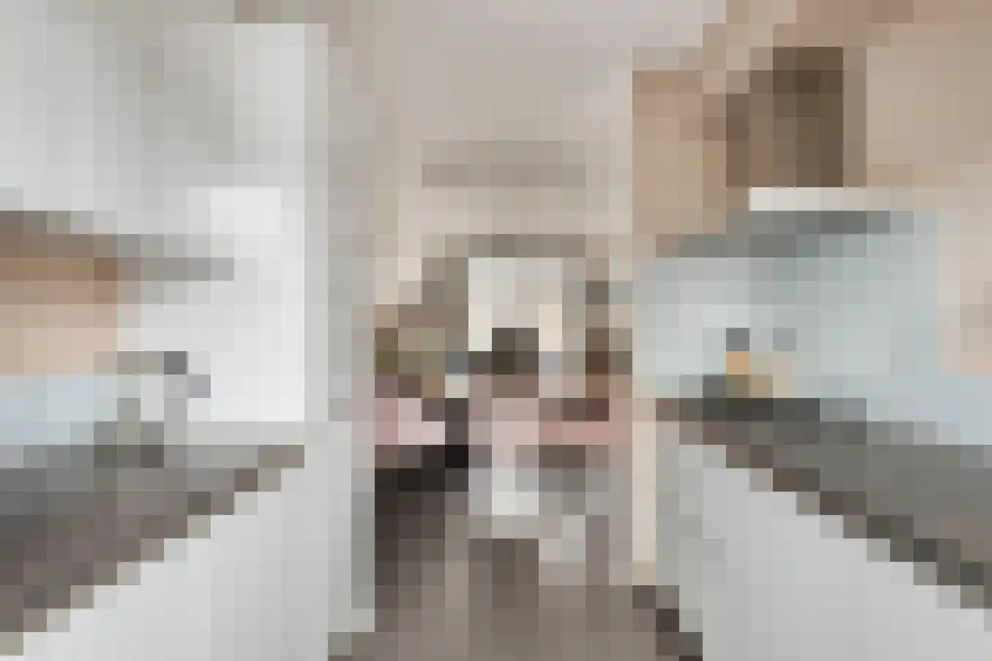 Schuilenburglaan 12 Lienden thumbnail 15