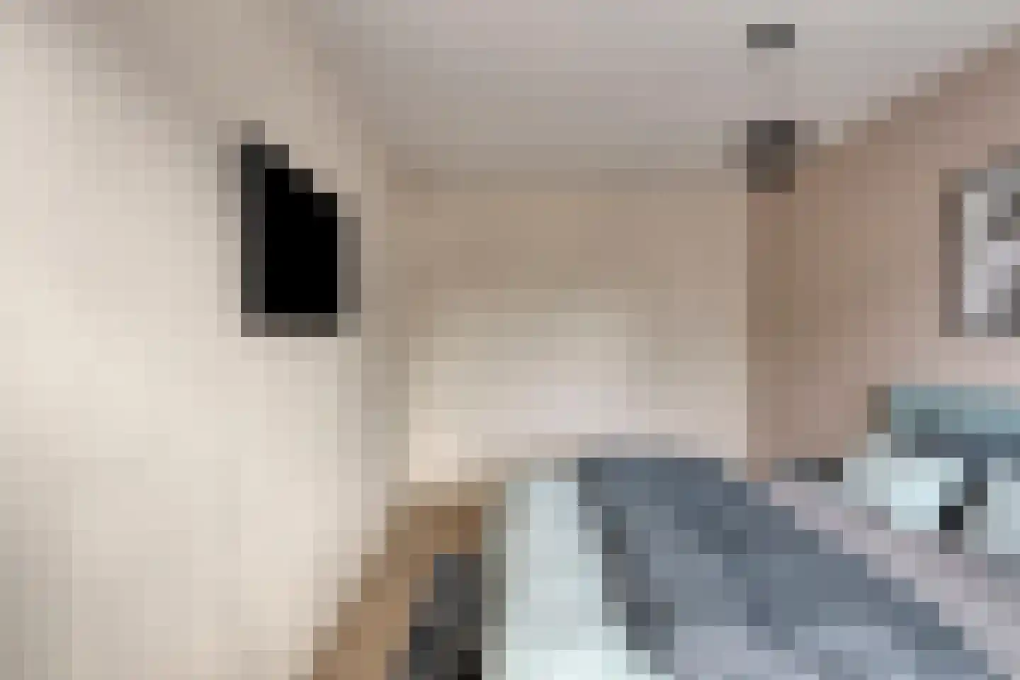 Schuilenburglaan 12 Lienden thumbnail 20