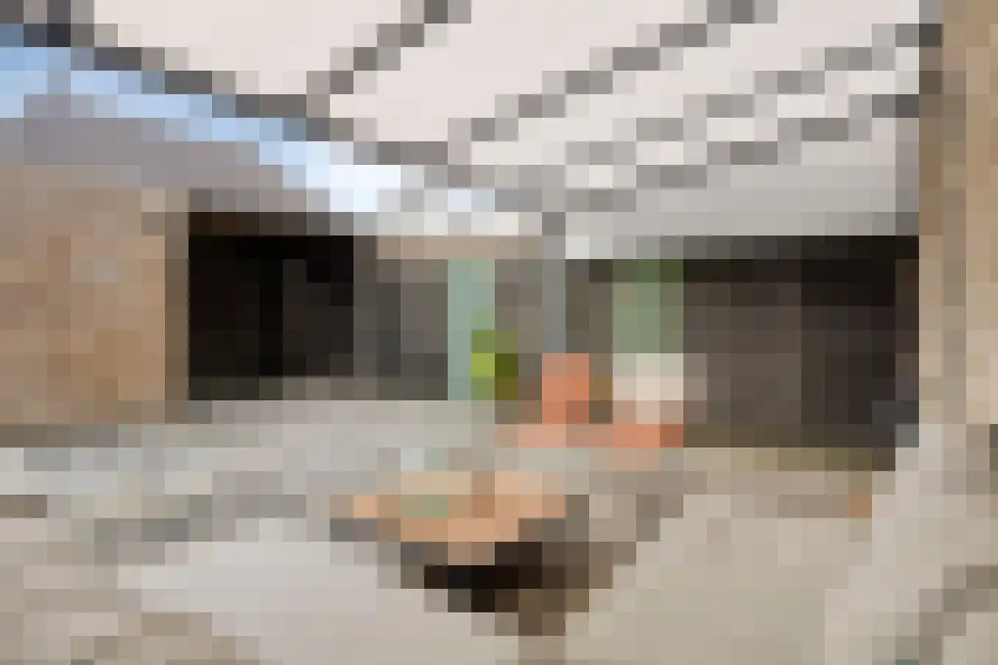 Schuilenburglaan 12 Lienden thumbnail 5