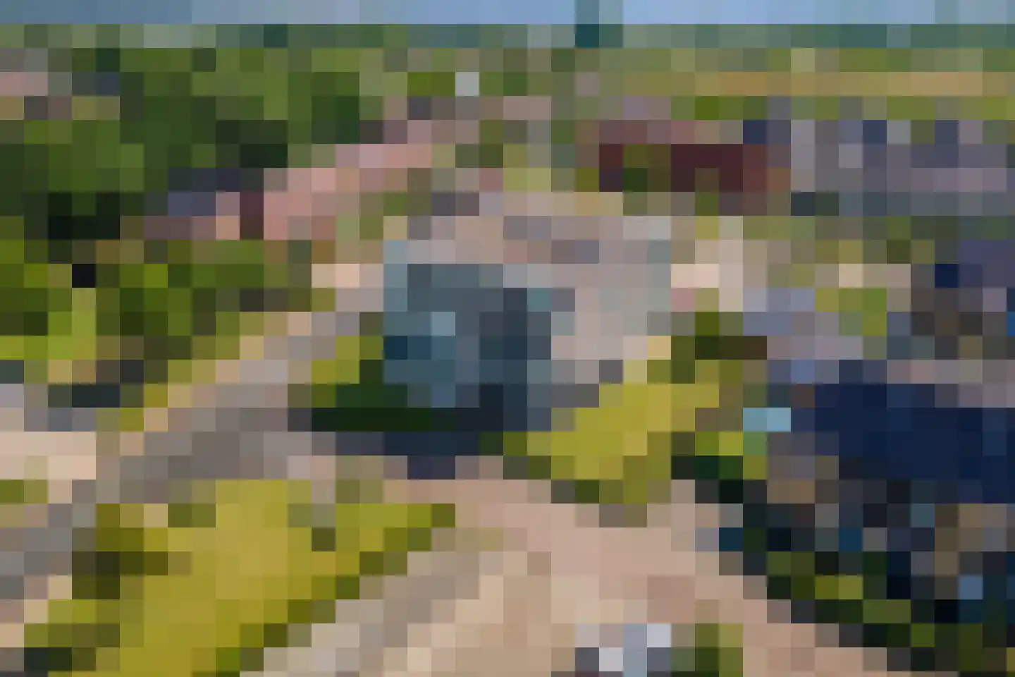 Schuilenburglaan 17 Lienden thumbnail 41