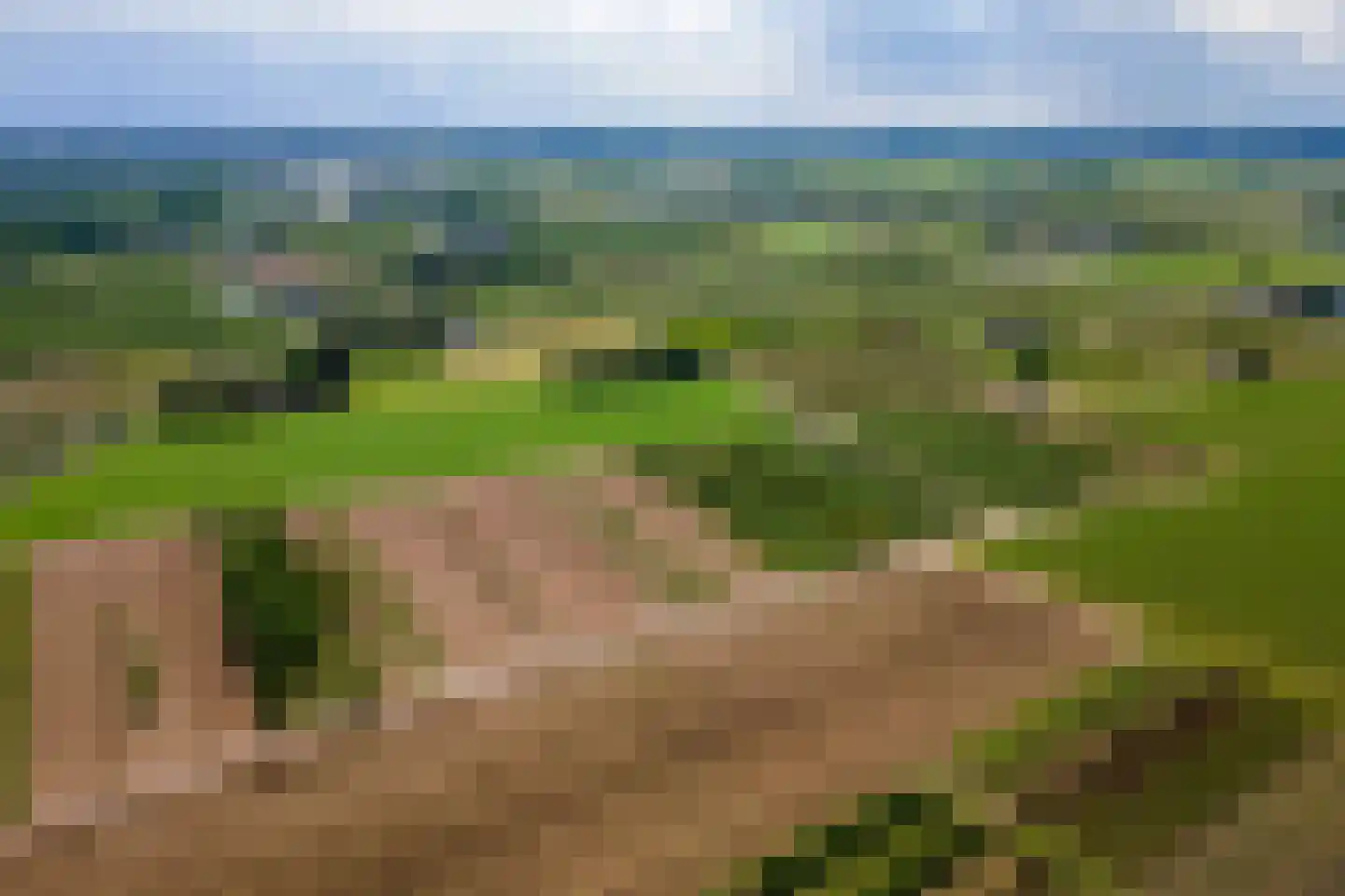 Schuilenburglaan 17 Lienden thumbnail 46