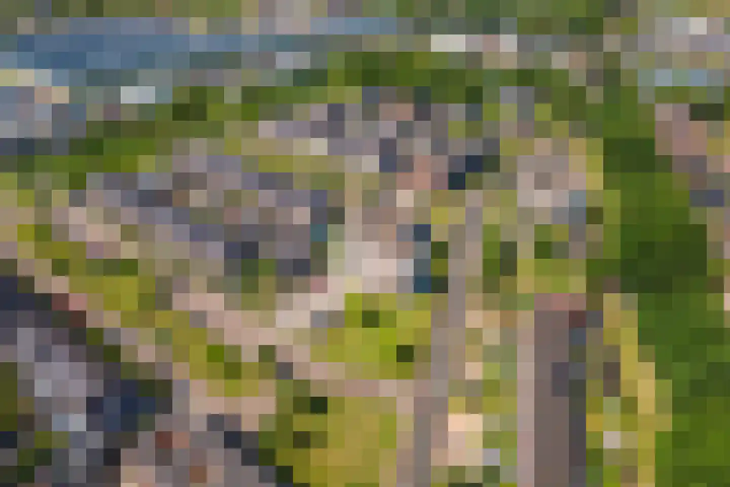 Schuilenburglaan 17 Lienden thumbnail 47
