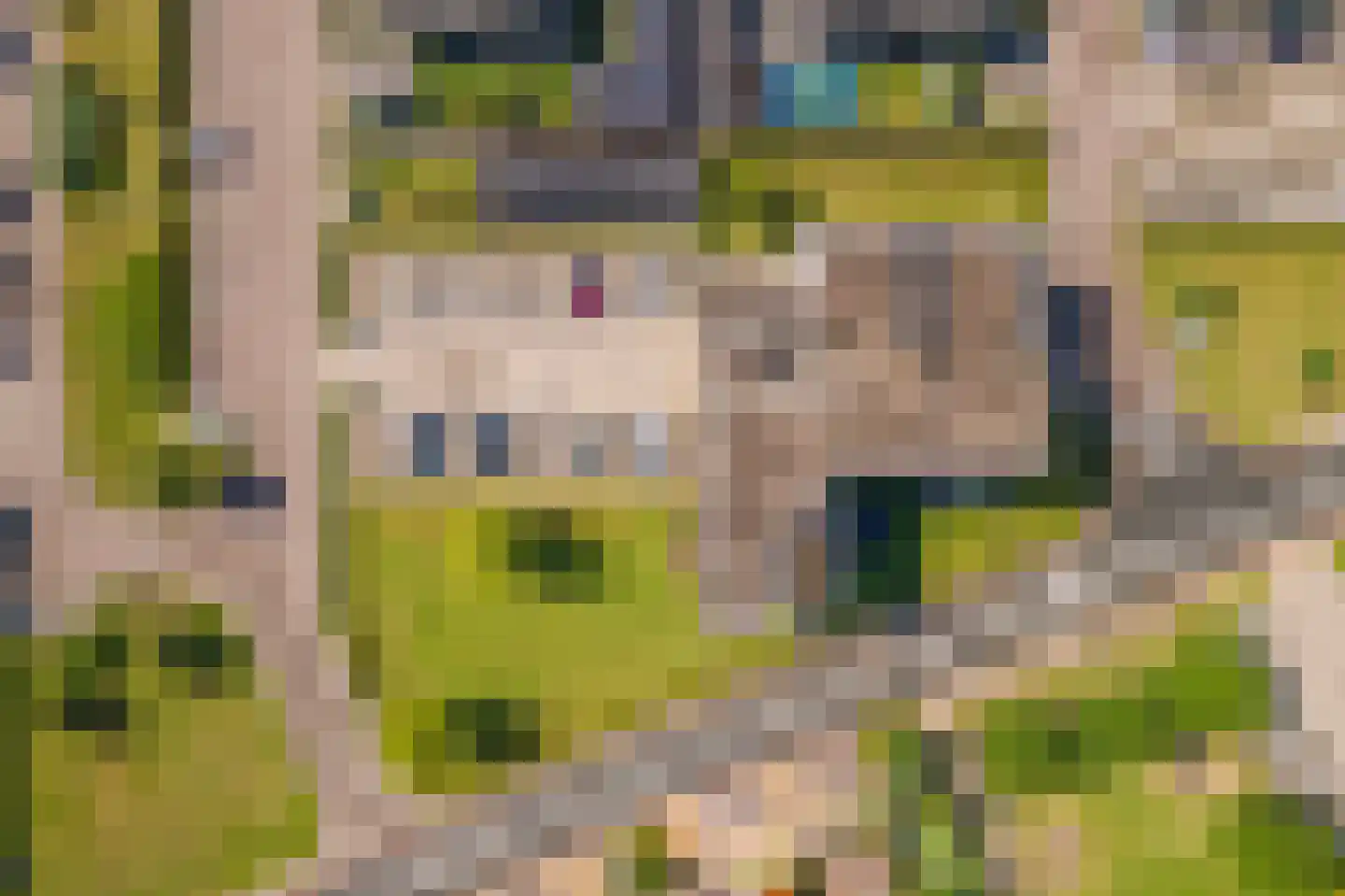 Schuilenburglaan 17 Lienden thumbnail 48