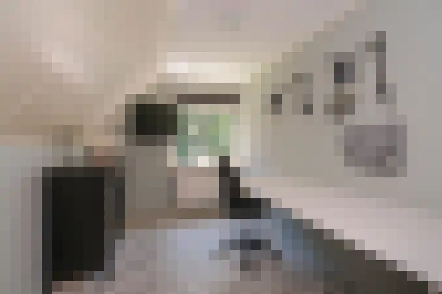 Schuilenburglaan 23 Almelo thumbnail 25