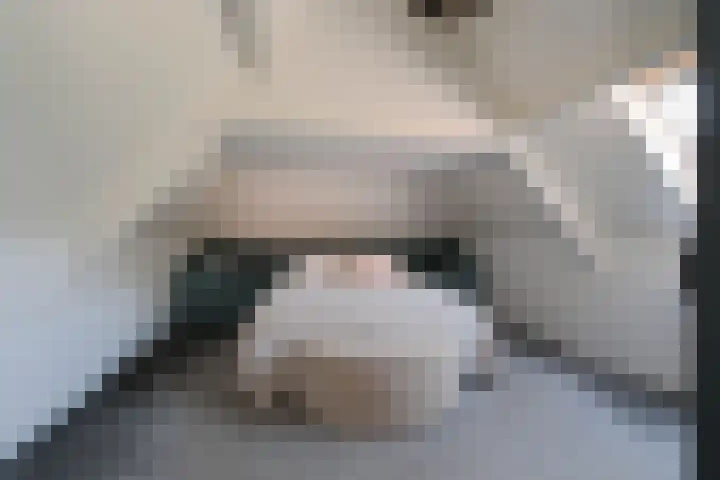 Schuilenburglaan 23 Almelo thumbnail 4