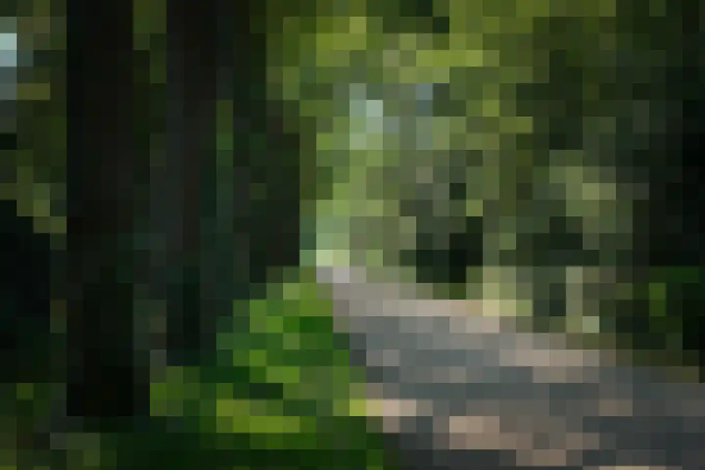 Schuilenburglaan 23 Almelo thumbnail 44