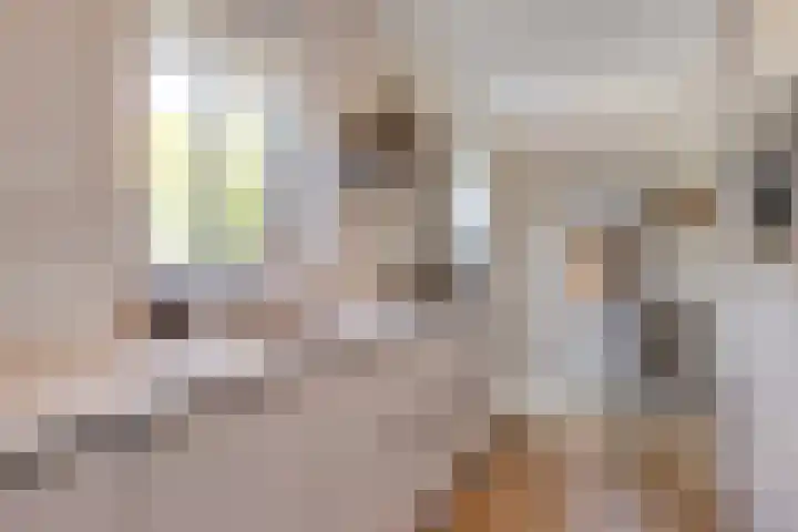 Schuilenburglaan 55 Lienden thumbnail 13