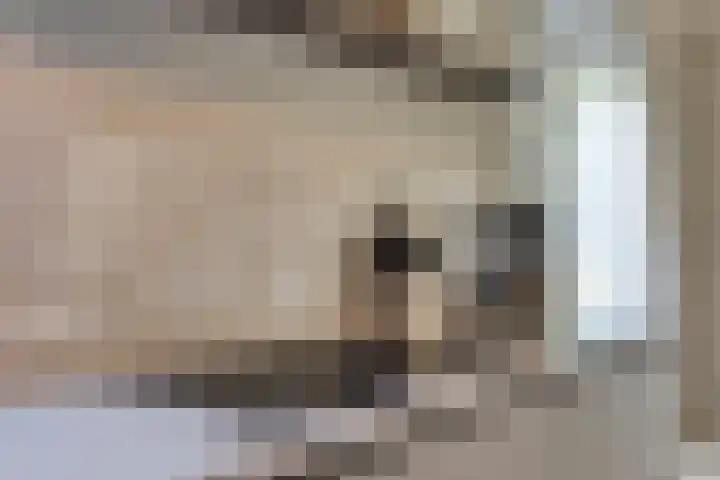Schuilenburglaan 55 Lienden thumbnail 15