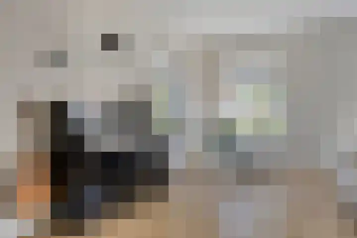 Schuilenburglaan 55 Lienden thumbnail 18
