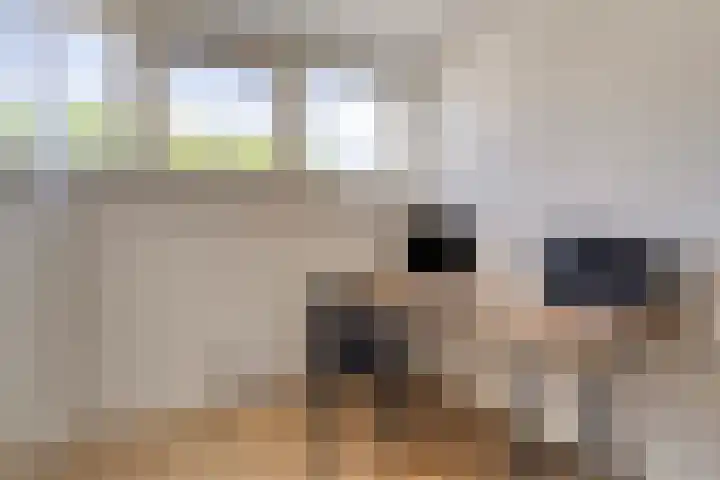 Schuilenburglaan 55 Lienden thumbnail 32