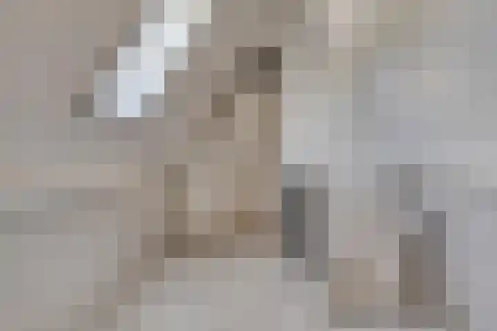 Schuilenburglaan 55 Lienden thumbnail 33