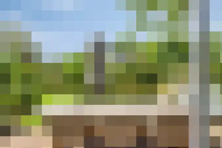 Schuilenburglaan 55 Lienden thumbnail 36