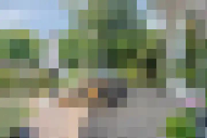 Schuilenburglaan 55 Lienden thumbnail 37