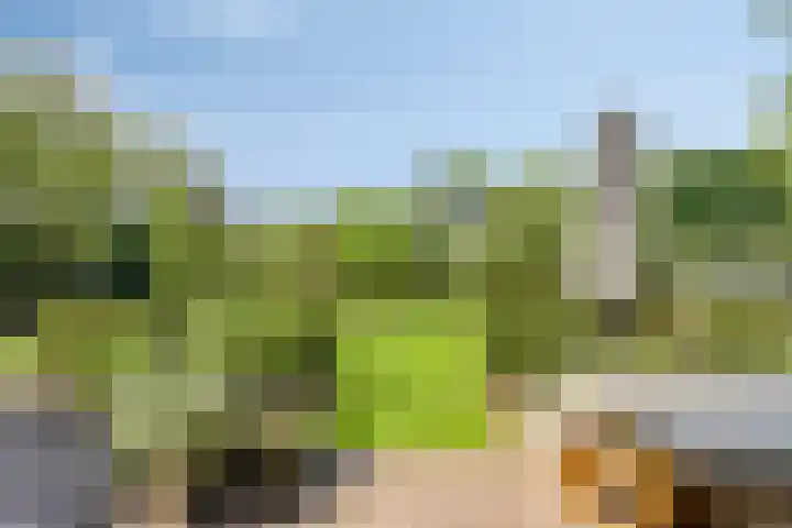 Schuilenburglaan 55 Lienden thumbnail 38