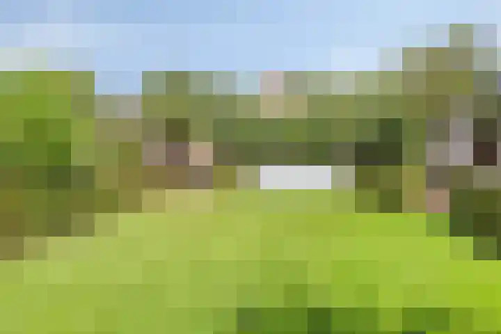 Schuilenburglaan 55 Lienden thumbnail 39