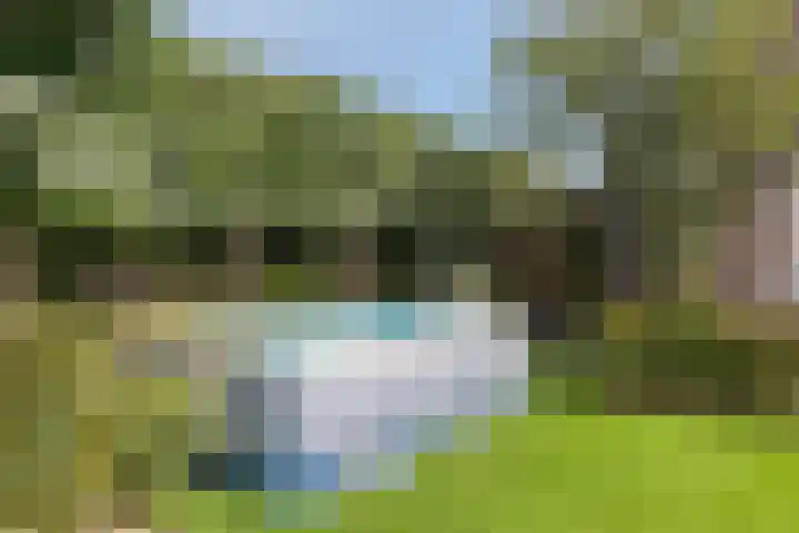 Schuilenburglaan 55 Lienden thumbnail 40
