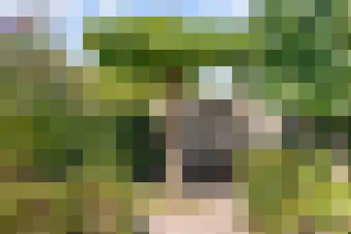Schuilenburglaan 55 Lienden thumbnail 41